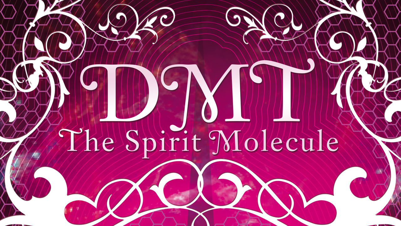 DMT the spirit moleculeのポスター